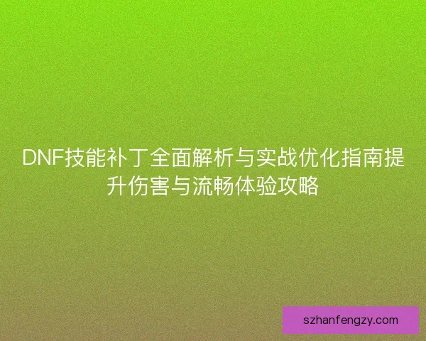 DNF技能补丁全面解析与实战优化指南提升伤害与流畅体验攻略