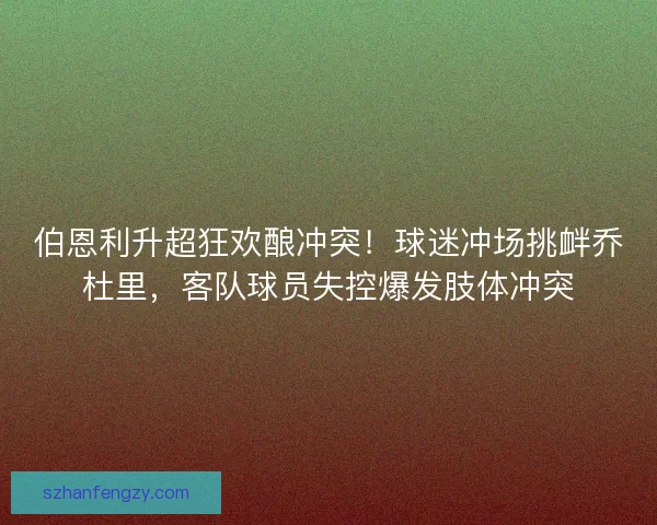 伯恩利升超狂欢酿冲突！球迷冲场挑衅乔杜里，客队球员失控爆发肢体冲突